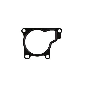 Fuel Injection Throttle Body Mounting Gasket