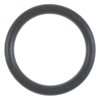 Distributor O-Ring