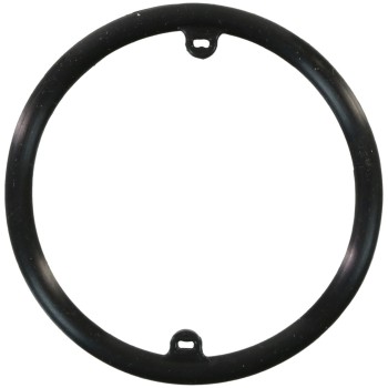 Engine Oil Cooler Seal
