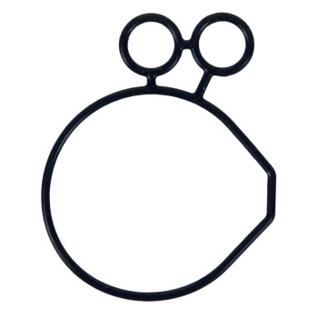 Engine Oil Pump Seal