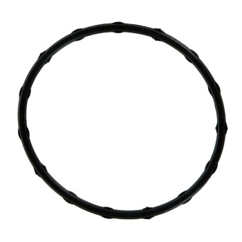 Fuel Injection Plenum Gasket Set