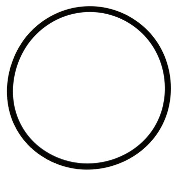 Fuel Injector O-Ring Kit