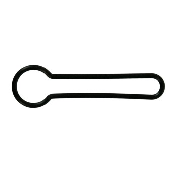 Fuel Injection Pressure Regulator Seal