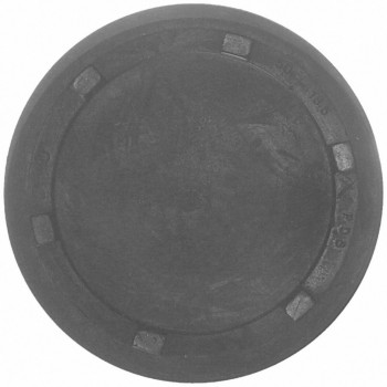 Engine Camshaft Plug