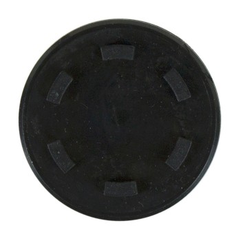 Engine Camshaft Plug