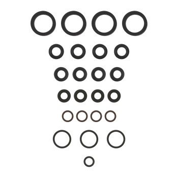 Fuel Injector O-Ring Kit