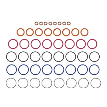 Fuel Injector O-Ring Kit