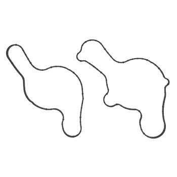 Engine Water Pump Gasket Kit