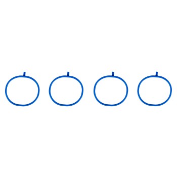 Fuel Injection Plenum Gasket Set