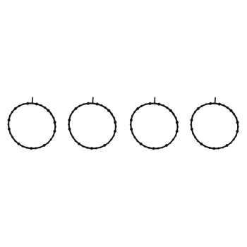 Fuel Injection Plenum Gasket Set