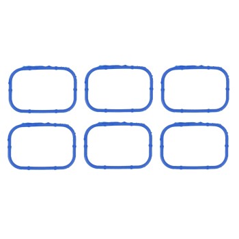 Fuel Injection Plenum Gasket Set