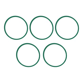 Fuel Injection Plenum Gasket Set