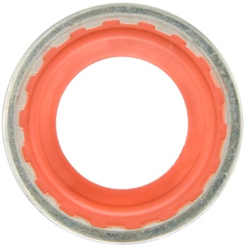 A/C Compressor Seal
