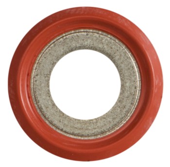 A/C Compressor Seal