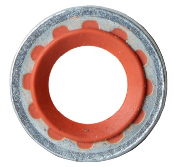 A/C Compressor Seal
