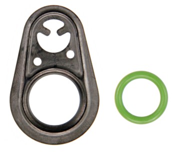 A/C Compressor Seal