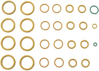 A/C System O-Ring and Gasket Kit