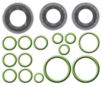A/C System O-Ring and Gasket Kit