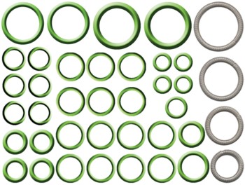 A/C System O-Ring and Gasket Kit