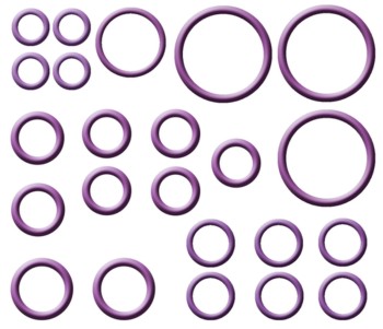 A/C System O-Ring and Gasket Kit