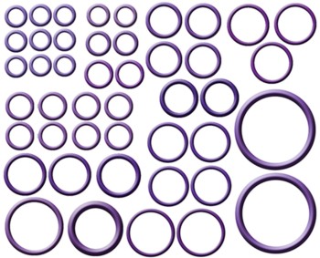 A/C System O-Ring and Gasket Kit