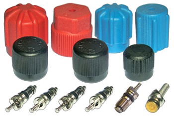 A/C System Valve Core and Cap Kit