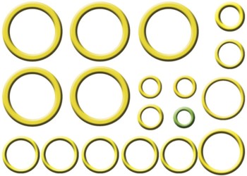 A/C System O-Ring and Gasket Kit