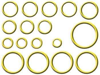 A/C System O-Ring and Gasket Kit