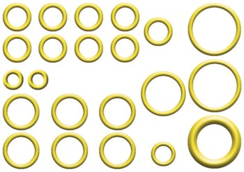 A/C System O-Ring and Gasket Kit