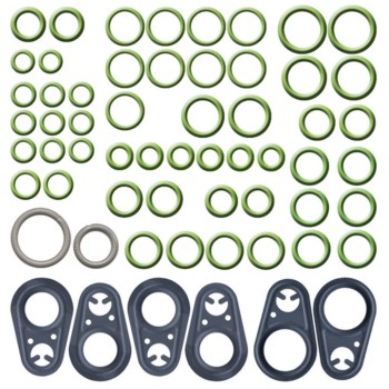 A/C System O-Ring and Gasket Kit