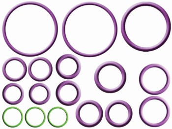 A/C System O-Ring and Gasket Kit