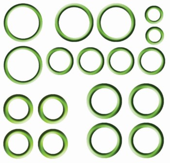 A/C System O-Ring and Gasket Kit