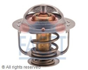 Engine Coolant Thermostat