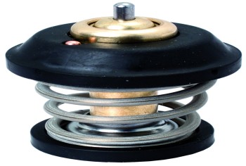 Engine Coolant Thermostat