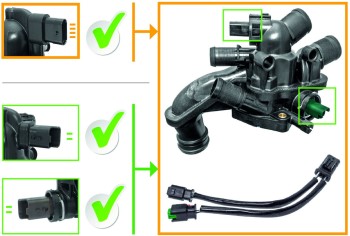 Engine Coolant Thermostat