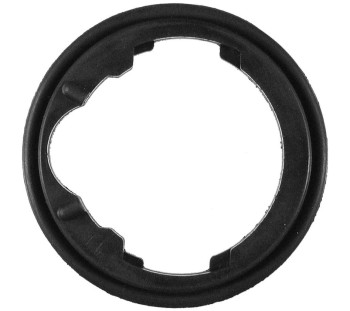 Engine Coolant Thermostat Gasket