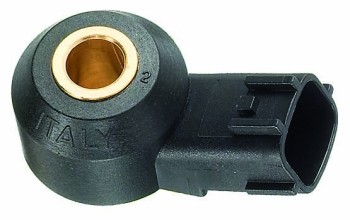 Ignition Knock (Detonation) Sensor