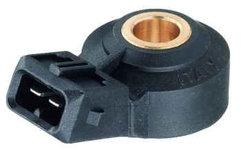 Ignition Knock (Detonation) Sensor