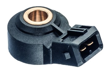 Ignition Knock (Detonation) Sensor
