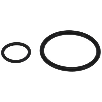 Fuel Injector Seal Kit