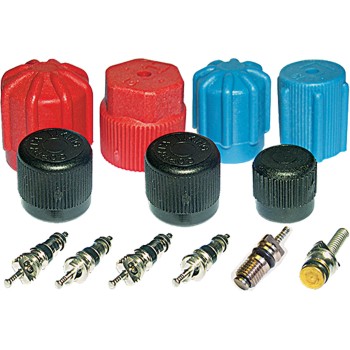 A/C System Valve Core and Cap Kit