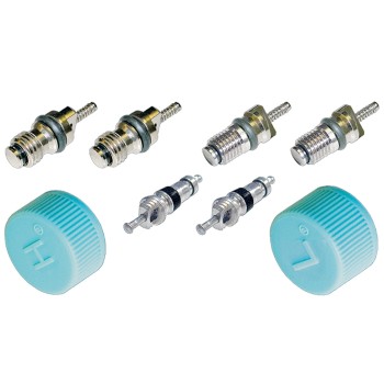 A/C System Valve Core and Cap Kit