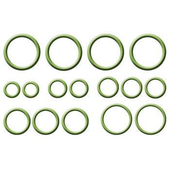 A/C System O-Ring and Gasket Kit