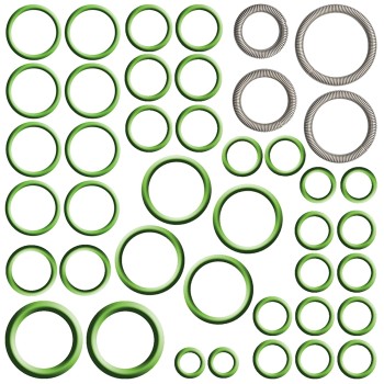 A/C System O-Ring and Gasket Kit
