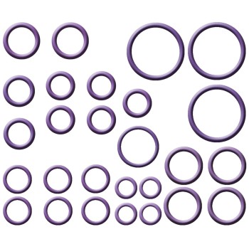 A/C System O-Ring and Gasket Kit