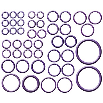 A/C System O-Ring and Gasket Kit