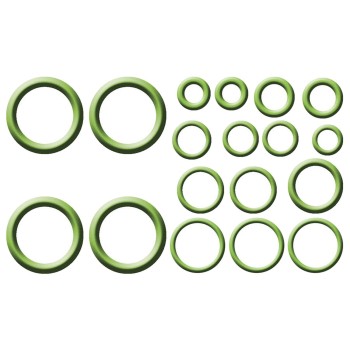 A/C System O-Ring and Gasket Kit