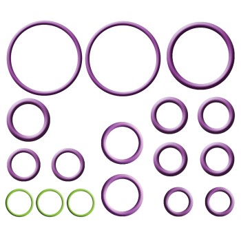 A/C System O-Ring and Gasket Kit