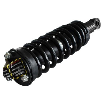 Suspension Strut and Coil Spring Assembly