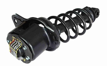 Suspension Strut and Coil Spring Assembly
